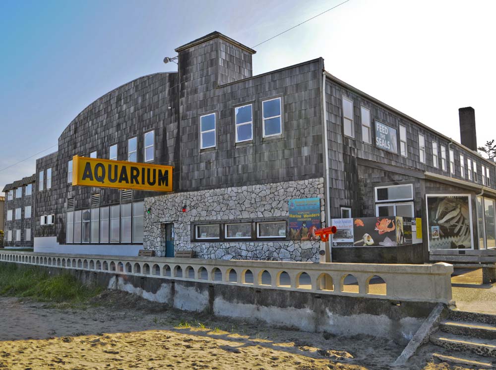 Seaside Aquarium 2012