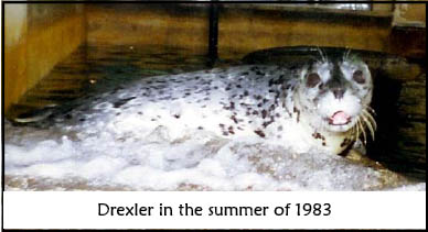 Drexler 1983