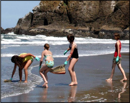 Cleaning gray whale in ocean water.