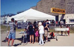 Discovery Program Tent on the beach