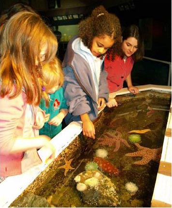 Kids at the Touch Tank