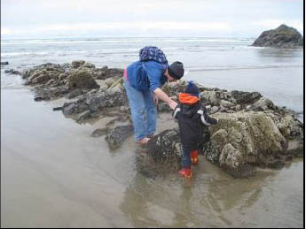 Tide Pools