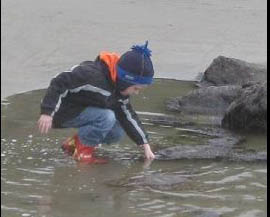 Tide Pools