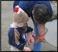 Child looking at starfish